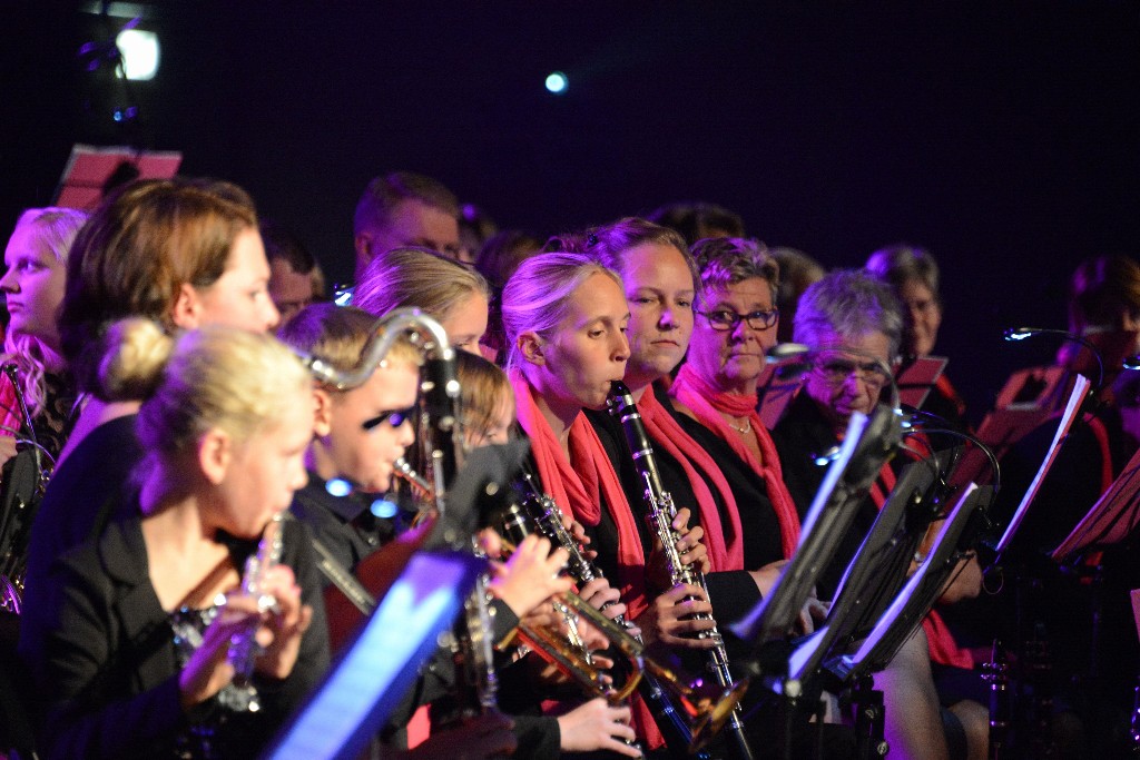 ../Images/Jubileumconcert 100 jaar Harpe Davids 126.jpg